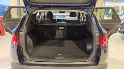 Hyundai Tucson Tageszulassung