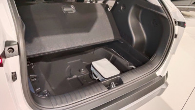 Hyundai Kona Tageszulassung