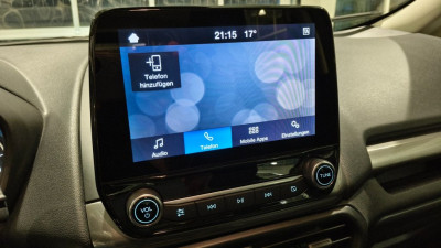 Ford EcoSport Gebrauchtwagen Ford EcoSport Gebrauchtwagen