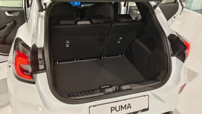 Ford Puma Neuwagen