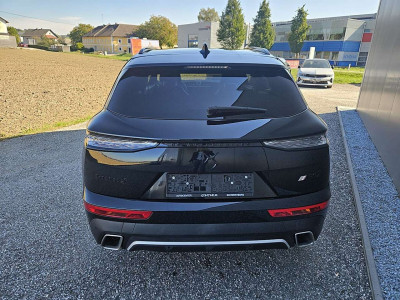 DS Automobiles DS 7 Gebrauchtwagen DS Automobiles DS 7 Gebrauchtwagen