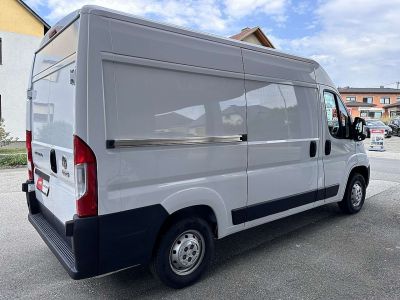 Fiat Ducato Gebrauchtwagen