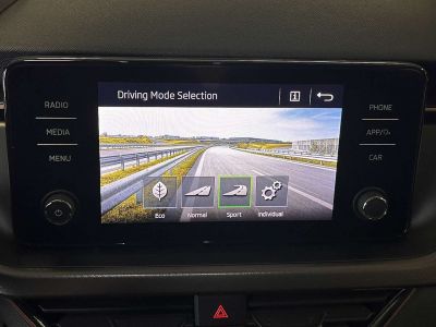 Skoda Kamiq Gebrauchtwagen