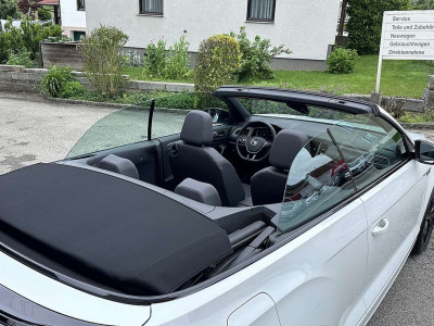 VW T-Roc Gebrauchtwagen VW T-Roc Gebrauchtwagen