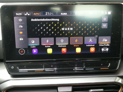 Cupra Formentor Gebrauchtwagen