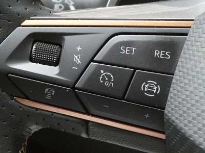 Cupra Formentor Gebrauchtwagen