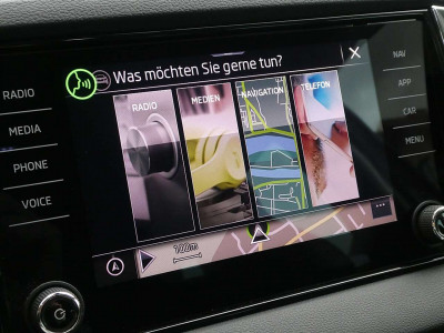 Skoda Karoq Gebrauchtwagen