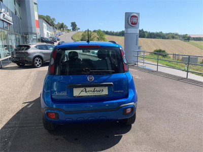 Fiat Panda Vorführwagen