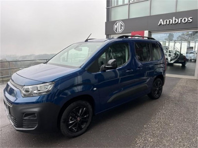 Fiat Doblo Gebrauchtwagen