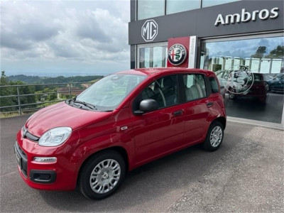 Fiat Panda Neuwagen