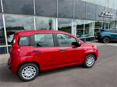 Fiat Panda Neuwagen