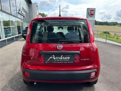 Fiat Panda Neuwagen