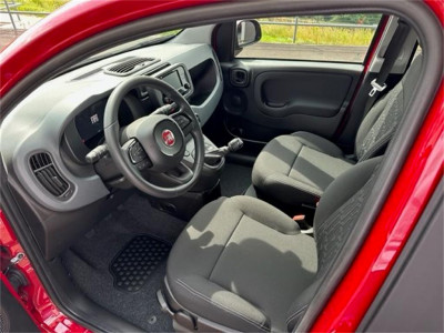 Fiat Panda Neuwagen