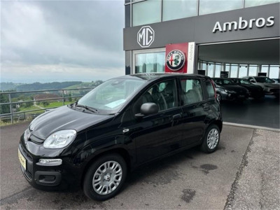 Fiat Panda Neuwagen
