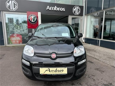 Fiat Panda Neuwagen