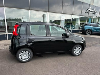Fiat Panda Neuwagen