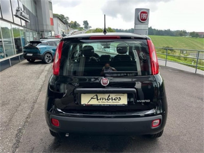 Fiat Panda Neuwagen