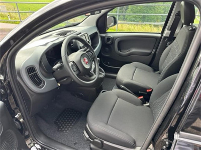 Fiat Panda Neuwagen