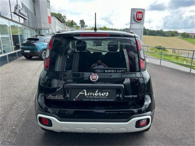 Fiat Panda Vorführwagen