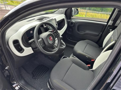 Fiat Panda Vorführwagen