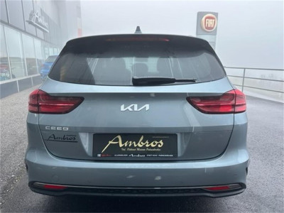 KIA Ceed Gebrauchtwagen KIA Ceed Gebrauchtwagen