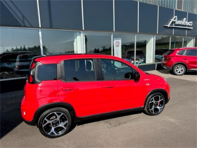 Fiat Panda Gebrauchtwagen