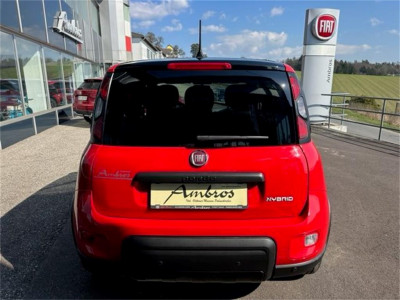 Fiat Panda Gebrauchtwagen