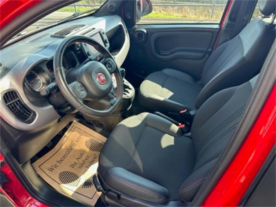 Fiat Panda Gebrauchtwagen