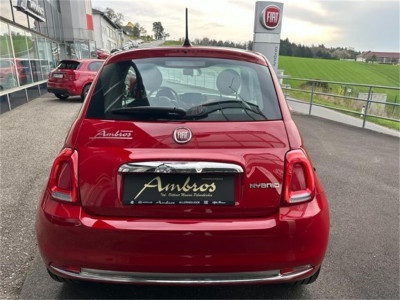 Fiat 500 Gebrauchtwagen