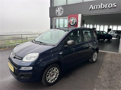 Fiat Panda Gebrauchtwagen Fiat Panda Gebrauchtwagen