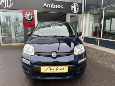 Fiat Panda Gebrauchtwagen Fiat Panda Gebrauchtwagen
