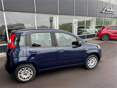 Fiat Panda Gebrauchtwagen Fiat Panda Gebrauchtwagen