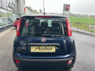 Fiat Panda Gebrauchtwagen Fiat Panda Gebrauchtwagen