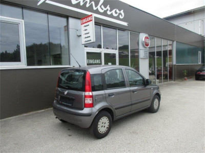 Fiat Panda Gebrauchtwagen Fiat Panda Gebrauchtwagen