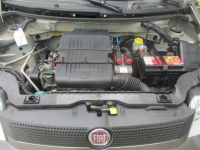 Fiat Panda Gebrauchtwagen Fiat Panda Gebrauchtwagen