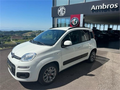 Fiat Panda Gebrauchtwagen