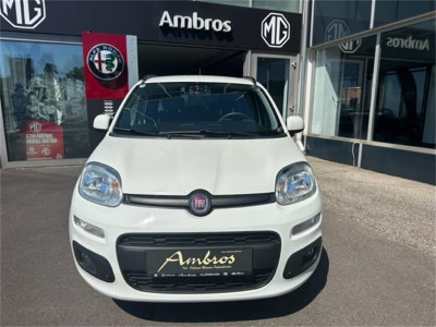 Fiat Panda Gebrauchtwagen