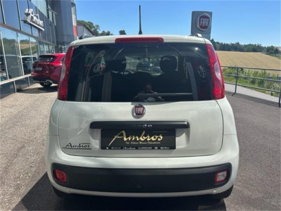 Fiat Panda Gebrauchtwagen