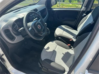 Fiat Panda Gebrauchtwagen