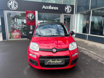 Fiat Panda Gebrauchtwagen Fiat Panda Gebrauchtwagen