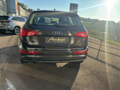 Audi Q5 Gebrauchtwagen