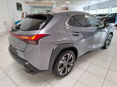 Lexus UX Gebrauchtwagen