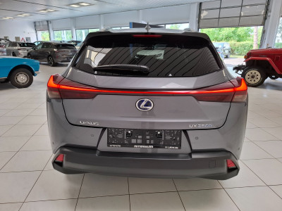 Lexus UX Gebrauchtwagen