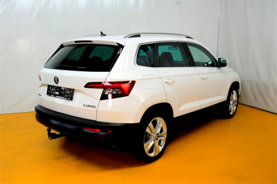 Skoda Karoq Gebrauchtwagen