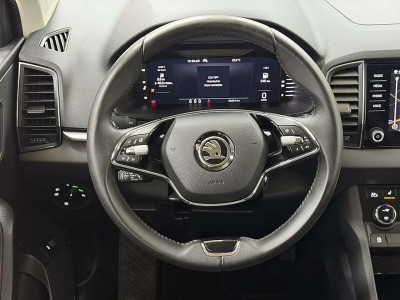 Skoda Karoq Gebrauchtwagen Skoda Karoq Gebrauchtwagen