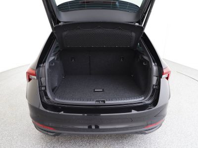 Skoda Scala Gebrauchtwagen