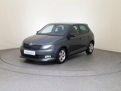 Skoda Fabia Gebrauchtwagen Skoda Fabia Gebrauchtwagen