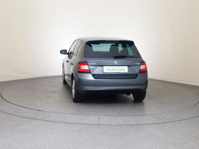 Skoda Fabia Gebrauchtwagen Skoda Fabia Gebrauchtwagen