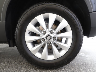 Skoda Karoq Gebrauchtwagen