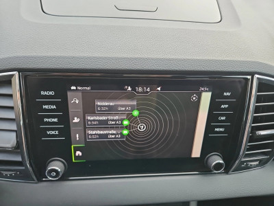 Skoda Karoq Gebrauchtwagen